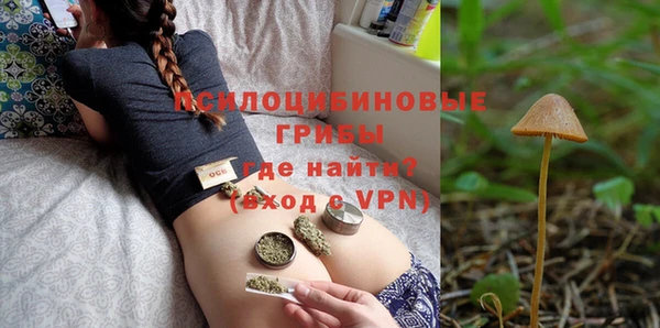гидра Осинники