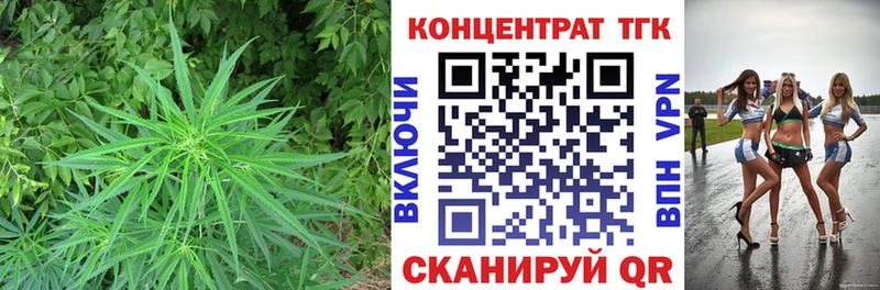 ТГК гашишное масло  магазин продажи наркотиков  Бакал 